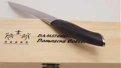 DSP-188 Paring-150 kiskés